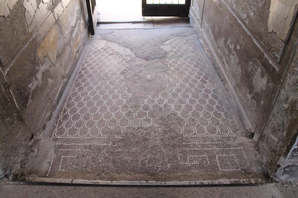 V.1 Herculaneum. March 2014. Looking west from atrium along floor of entrance corridor towards exit. 
Foto Annette Haug, ERC Grant 681269 DÉCOR.
