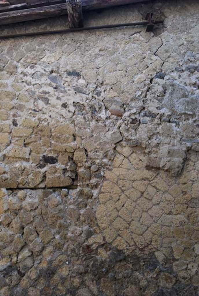 V.3. Herculaneum. June 2008. Detail from upper north wall of entrance corridor.
Photo courtesy of Nicolas Monteix.
