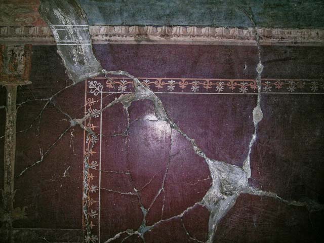 V.5, Herculaneum. May 2005. Room 8, painted panel from east wall, with edging of a carpet border.  Photo courtesy of Nicolas Monteix.

