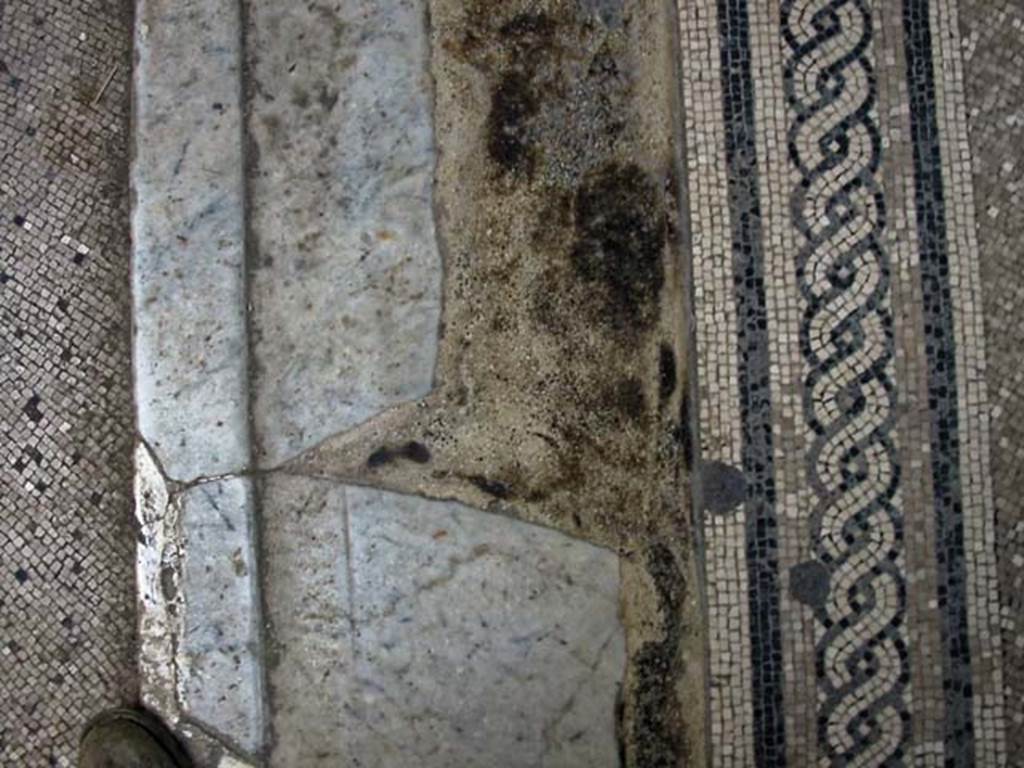 V.8 Herculaneum. May 2003. Detail of flooring of threshold linking Area 4 and Room 7. Photo courtesy of Nicolas Monteix.

