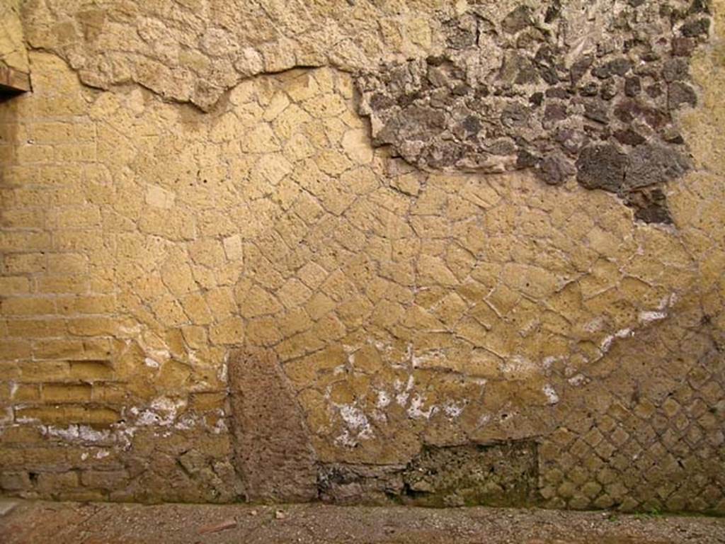 V.11, Herculaneum. May 2005. North end of east wall of rear room, on west side of tablinum,.
Photo courtesy of Nicolas Monteix.
