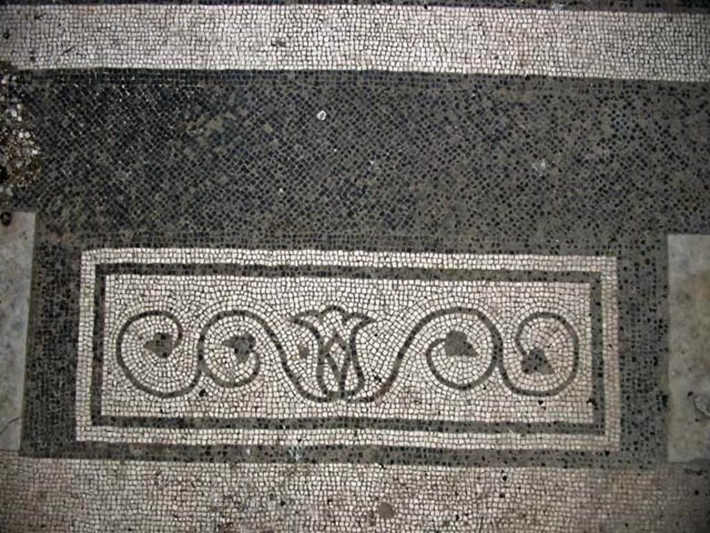 V.15, Herculaneum. May 2003. Mosaic threshold in entrance corridor, leading towards atrium. 
Photo courtesy of Nicolas Monteix.
