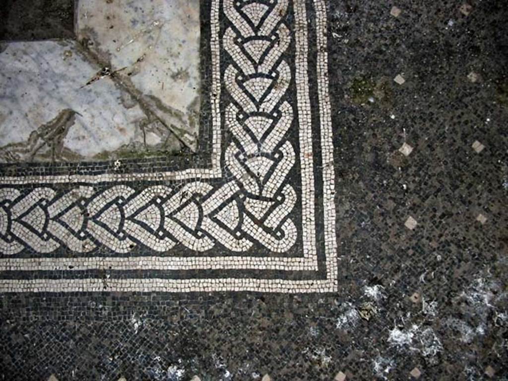 V.15, Herculaneum, May 2003. Detail of mosaic corner of atrium flooring near impluvium. 
Photo courtesy of Nicolas Monteix.

