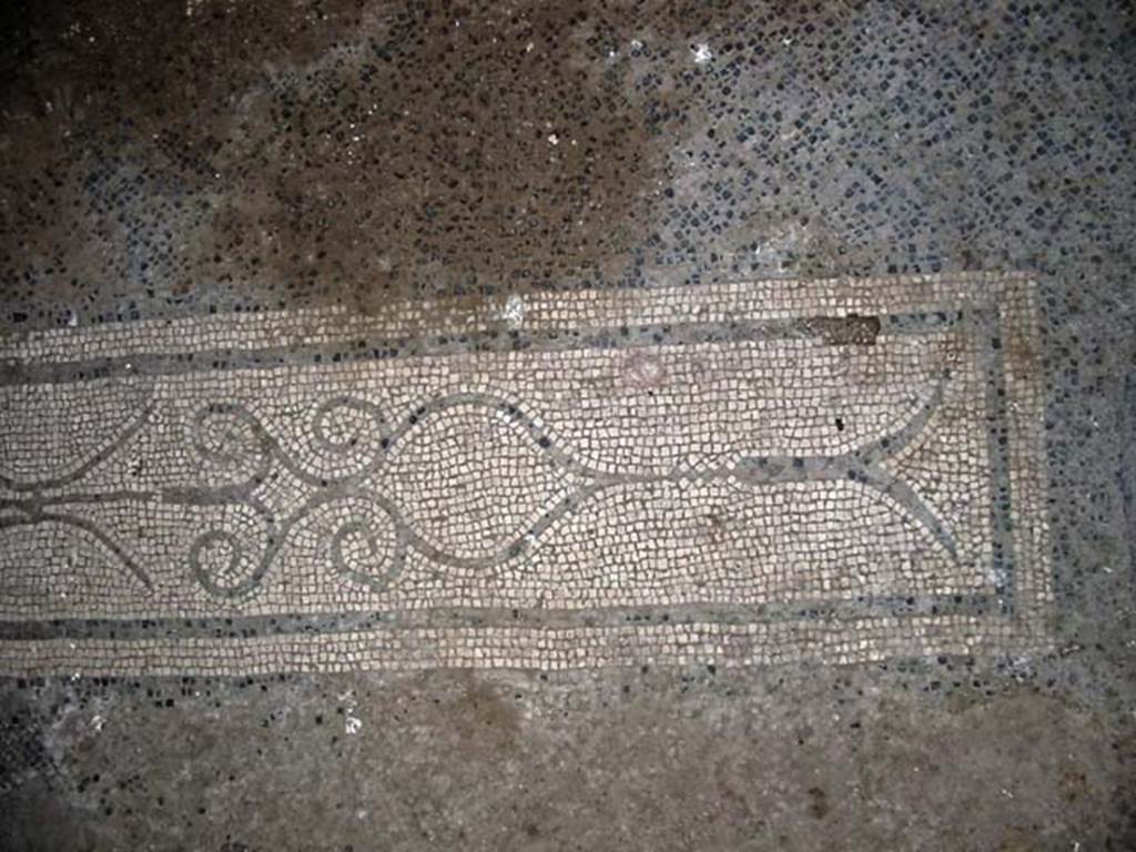 V.15, Herculaneum. May 2003. Mosaic threshold from atrium to west ala. Photo courtesy of Nicolas Monteix.

