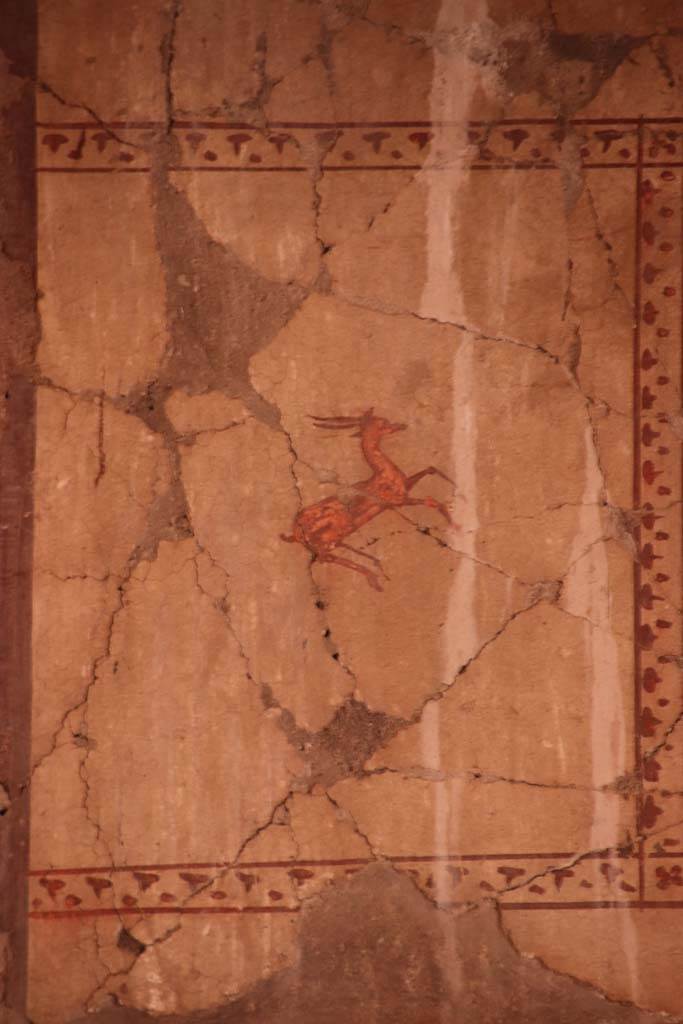 V.15 Herculaneum, October 2020. Painted decoration from upper south wall of atrium, in south-east corner. Photo courtesy of Klaus Heese.
