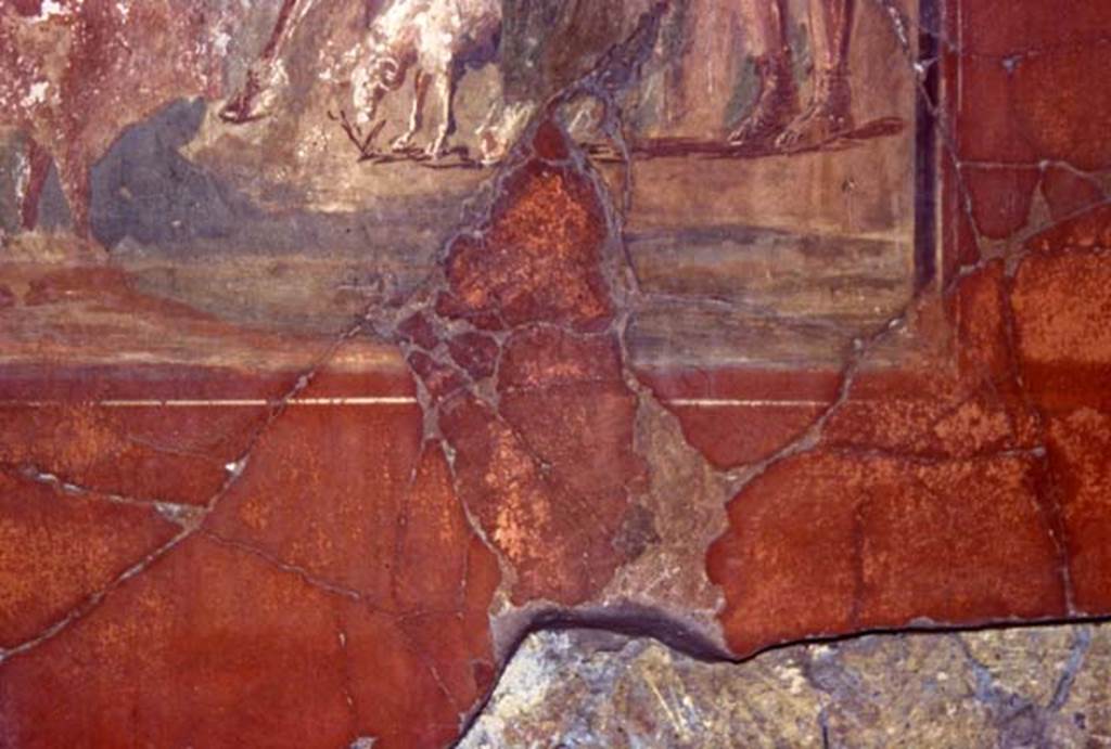 V.15, Herculaneum. October 2009. 
Tablinum, detail of decoration from west wall, including lower part of central painting of Daedalus and Pasiphae. 
Photo courtesy of Nicolas Monteix.
