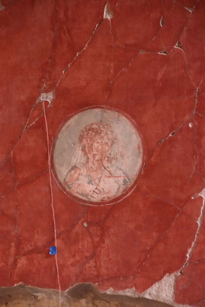 V.15 Herculaneum, October 2020. Medallion at north end of west wall of tablinum. Photo courtesy of Klaus Heese.