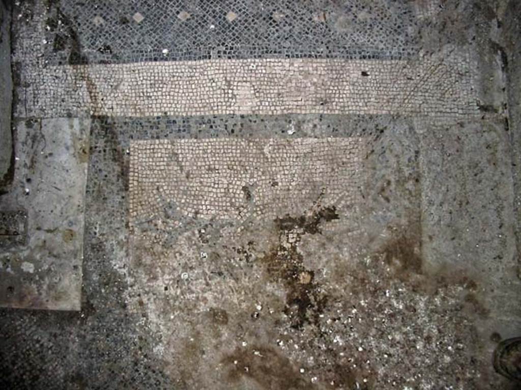 V.15, Herculaneum. May 2003. Threshold of doorway between west portico and large oecus. 
Photo courtesy of Nicolas Monteix.
