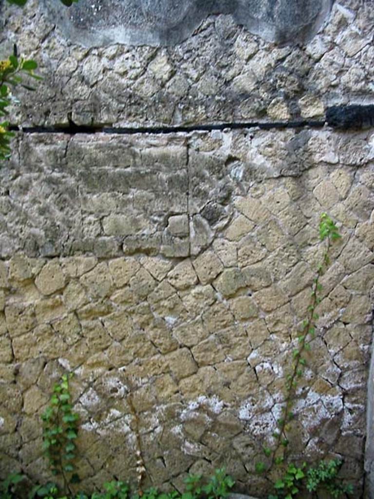 V.15, Herculaneum, May 2003. Detail from south wall, west end, in south-west corner.
Photo courtesy of Nicolas Monteix.

