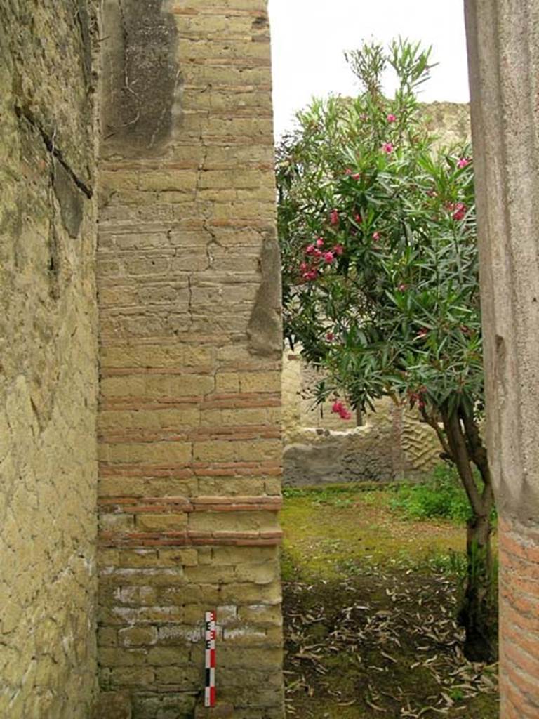 V.15, Herculaneum, June 2006. Looking west across peristyle from near kitchen/latrine in south-east corner. Photo courtesy of Nicolas Monteix.
