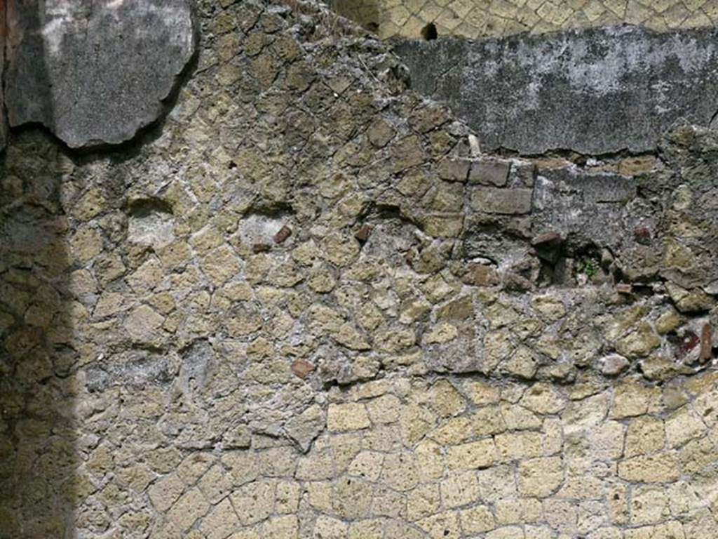 V.24, Herculaneum. May 2005. Detail from north wall of rear room. Photo courtesy of Nicolas Monteix.

