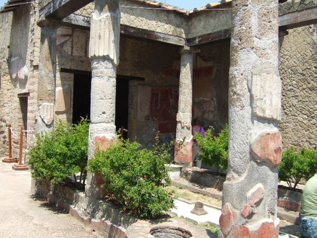 V. 30 Herculaneum, May 2006. Looking west across the atrium with shallow impluvium with a fountain jet in the centre, and planted areas on each side.
The six stuccoed tufa columns (white and fluted above, red below), three on each side, were connected by a low wall.
