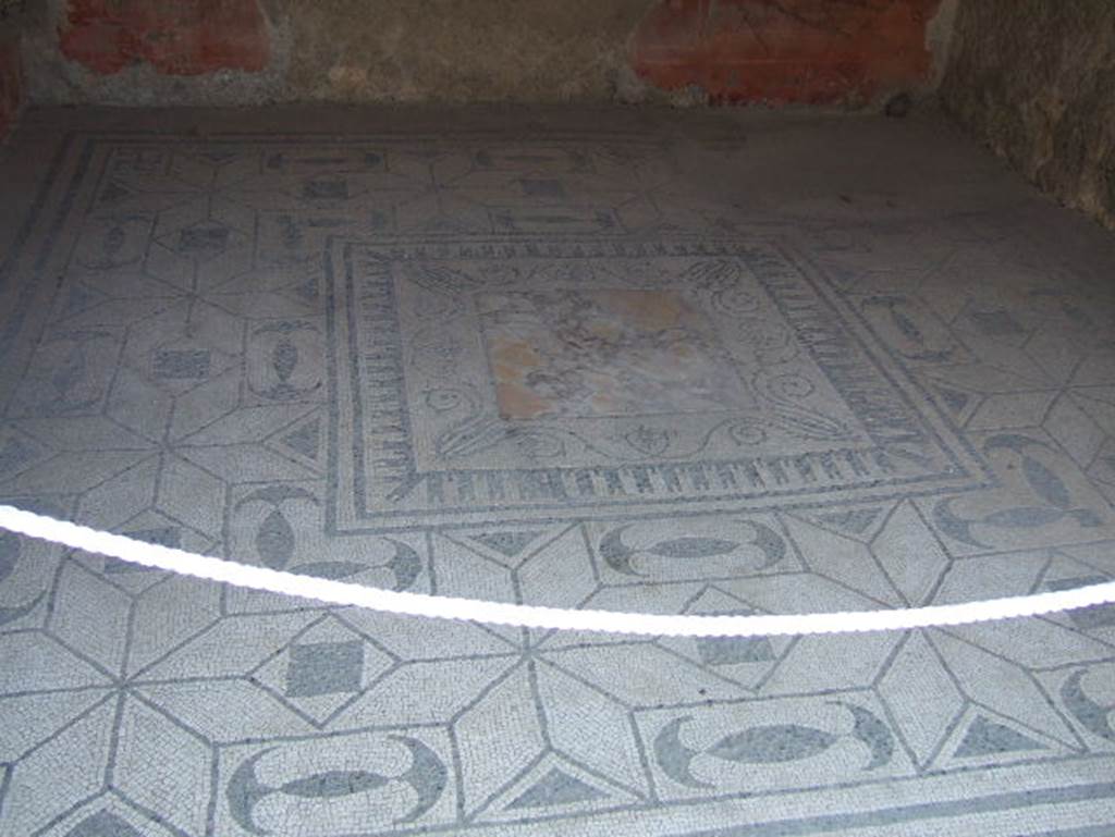 V.30 Herculaneum, May 2006. Mosaic floor from Oecus 1. 