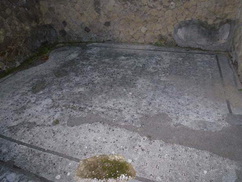 V.30 Herculaneum, October 2012. Room 5, looking south-east across flooring. Photo courtesy of Michael Binns.