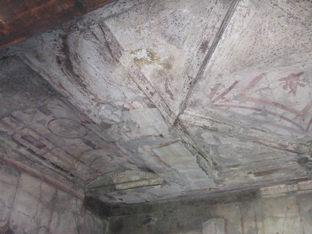 V. 30 Herculaneum, May 2006. Room 7, looking towards south-east corner of ceiling.