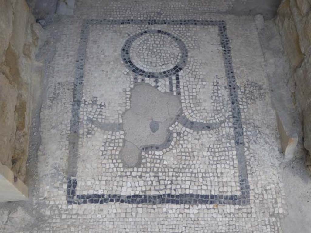 VI.1, Herculaneum. October 2014. Mosaic in threshold of doorway between tepidarium and hot room or caldarium. Photo courtesy of Michael Binns.
