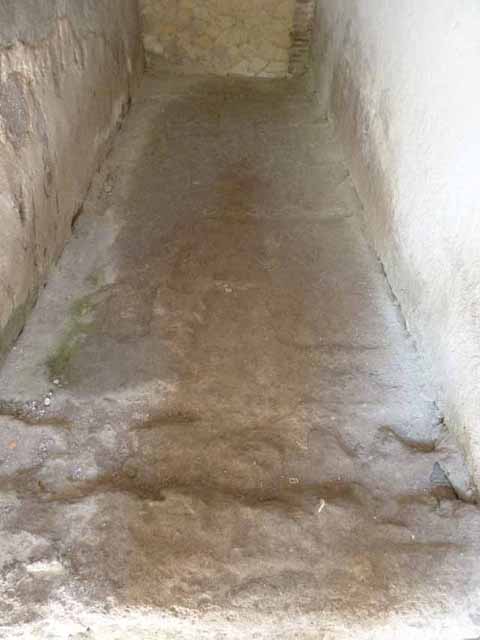 VI.8, Herculaneum. May 2010. Flooring of corridor, on the south side of the apodyterium.
