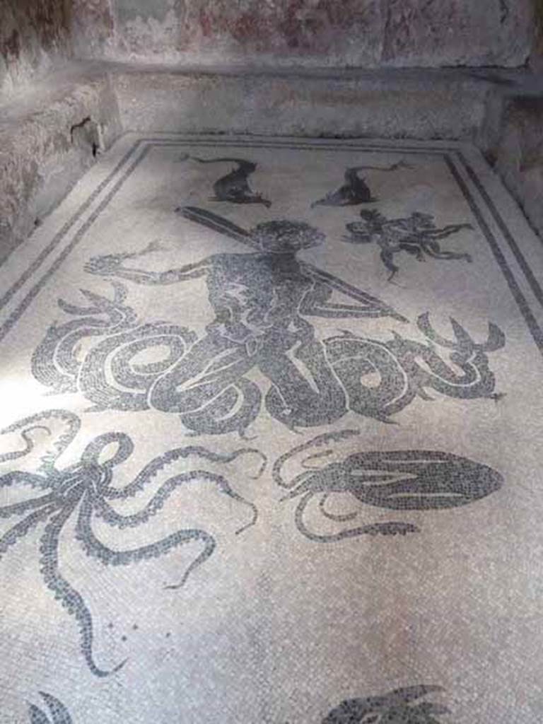 VI.8, Herculaneum. May 2010. Black mosaic of Triton on white mosaic flooring of changing room or apodyterium.
