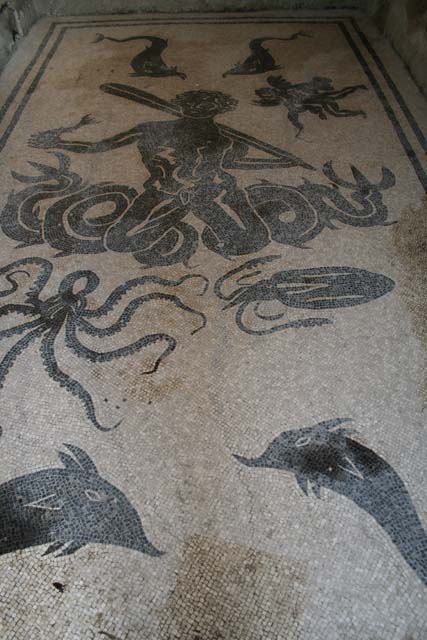VI.8, Herculaneum. August 2013. Black mosaic of Triton on white floor. Photo courtesy of Buzz Ferebee.