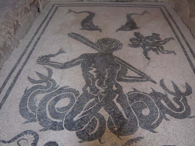 VI.8, Herculaneum. October 2001. Black mosaic on white mosaic flooring of changing room or apodyterium. Photo courtesy of Peter Woods.
