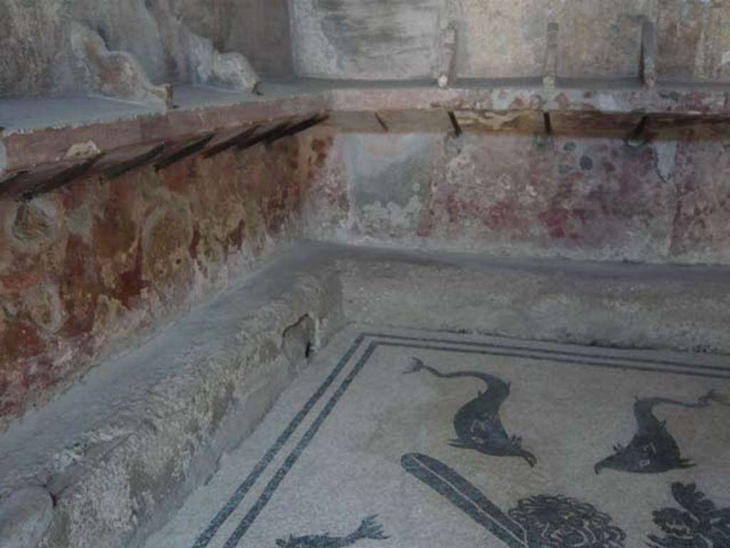VI.8 Herculaneum. April 2013. Detail of figured mosaic in north-east corner. Photo courtesy of Klaus Heese.