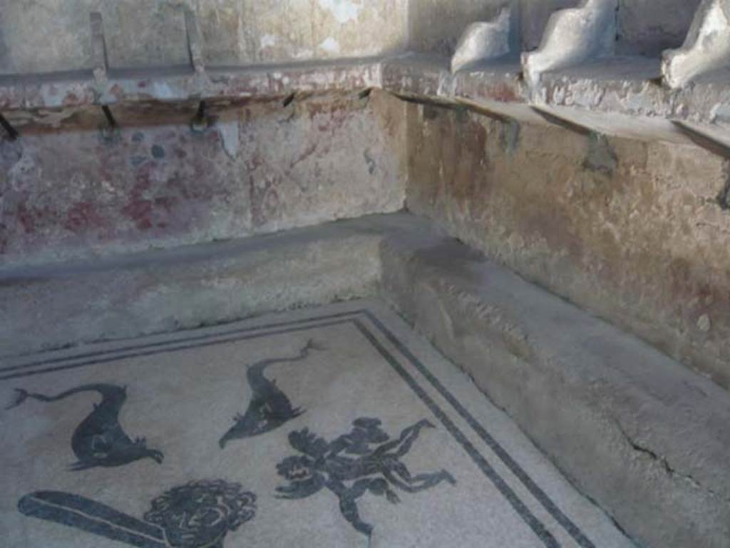 VI.8, Herculaneum. May 2010. Black and white mosaic of sea-creatures and dolphins, at south end of floor.