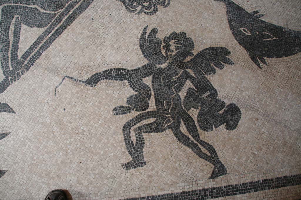 VI.8 Herculaneum. April 2013. Detail of figured mosaic in north-east corner. Photo courtesy of Klaus Heese.
