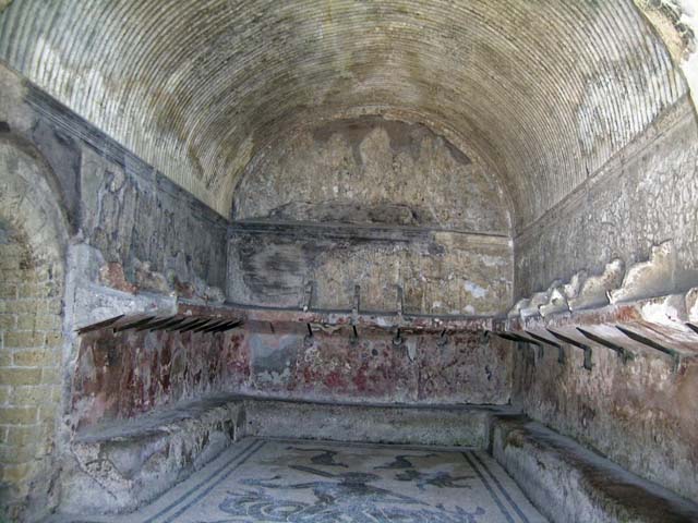 VI.8, Herculaneum. May 2010. North wall of apodyterium.