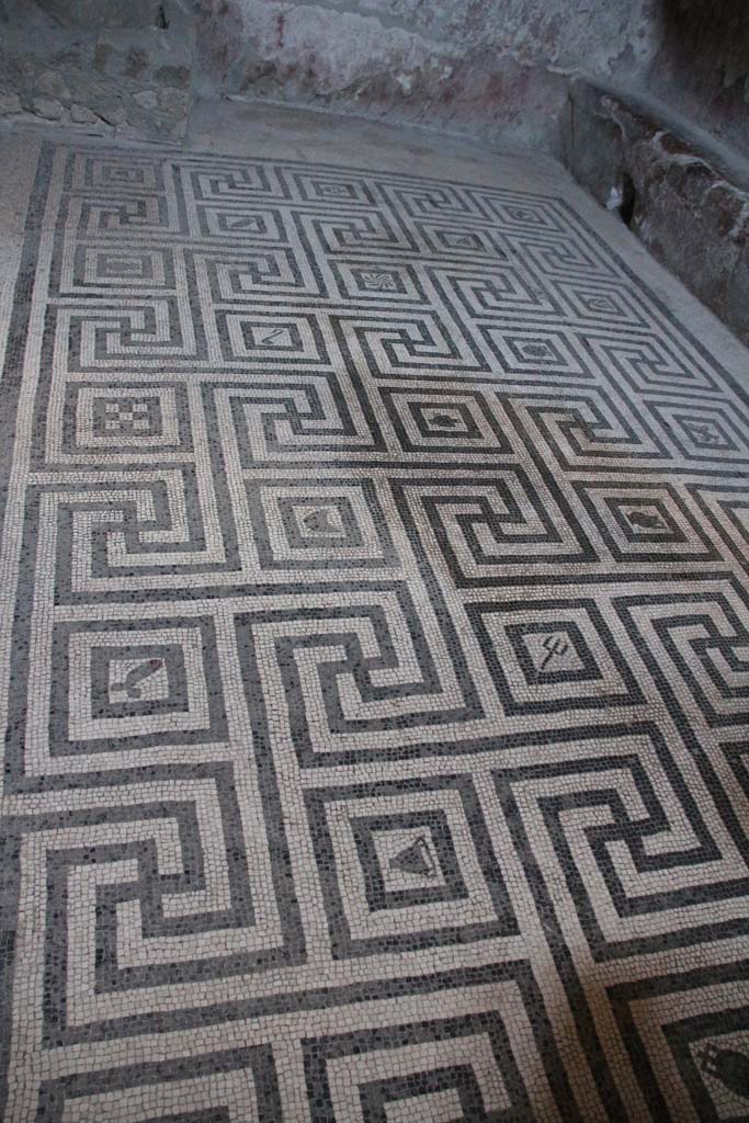 VI.8, Herculaneum. April 2014. Meandering mosaic floor in tepidarium. Photo courtesy of Klaus Heese.