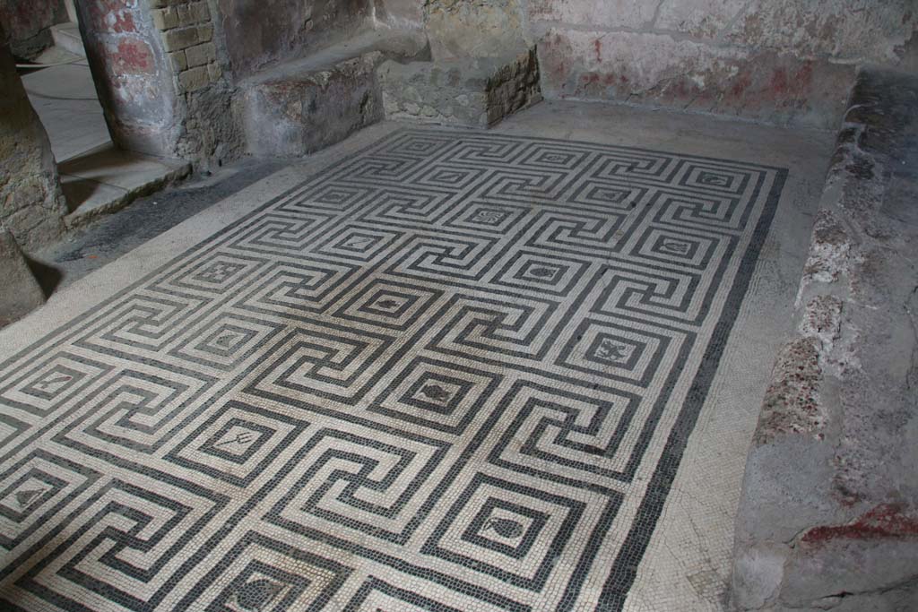 VI.8, Herculaneum. April 2013. Meandering mosaic floor in tepidarium. Photo courtesy of Klaus Heese.