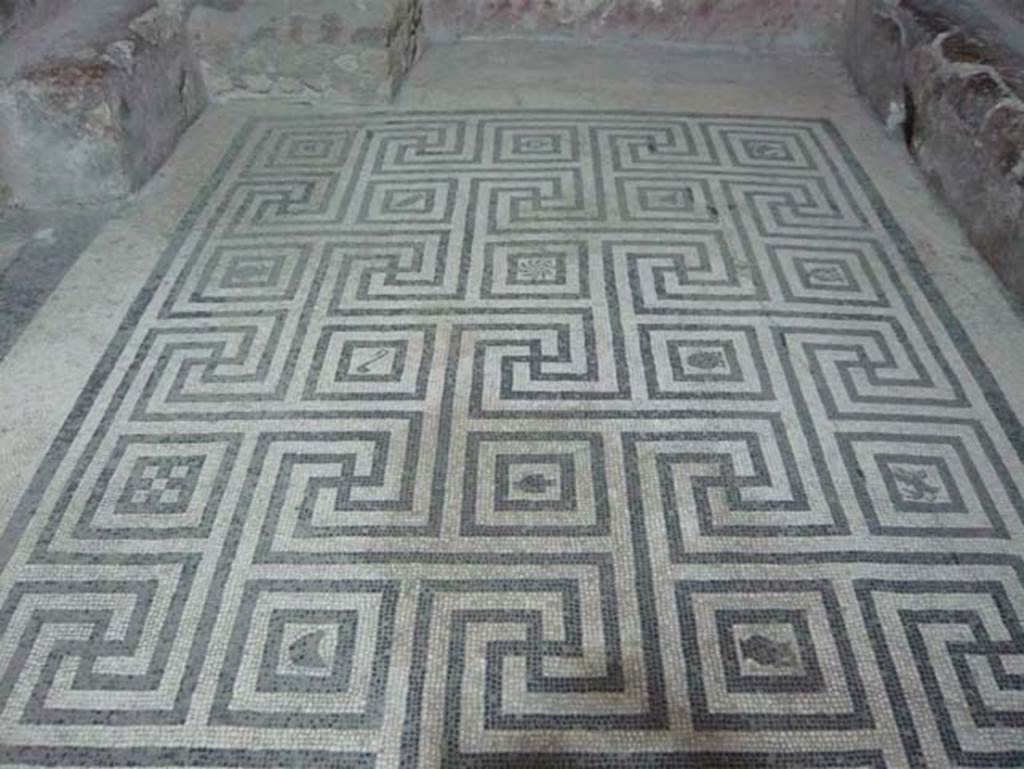 VI.8, Herculaneum. August 2013. Meandering mosaic floor in tepidarium. Photo courtesy of Buzz Ferebee.