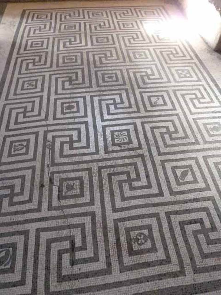 VI.8, Herculaneum. May 2010. Meandering mosaic floor in tepidarium.
