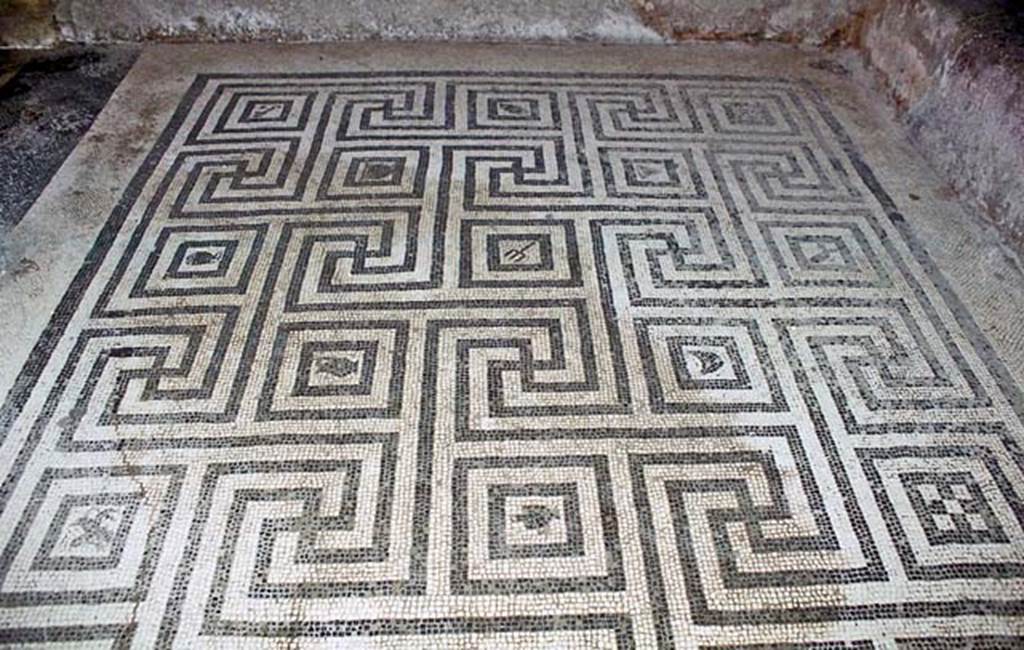 VI.8, Herculaneum. October 2001. Mosaic floor in tepidarium. Photo courtesy of Peter Woods.
