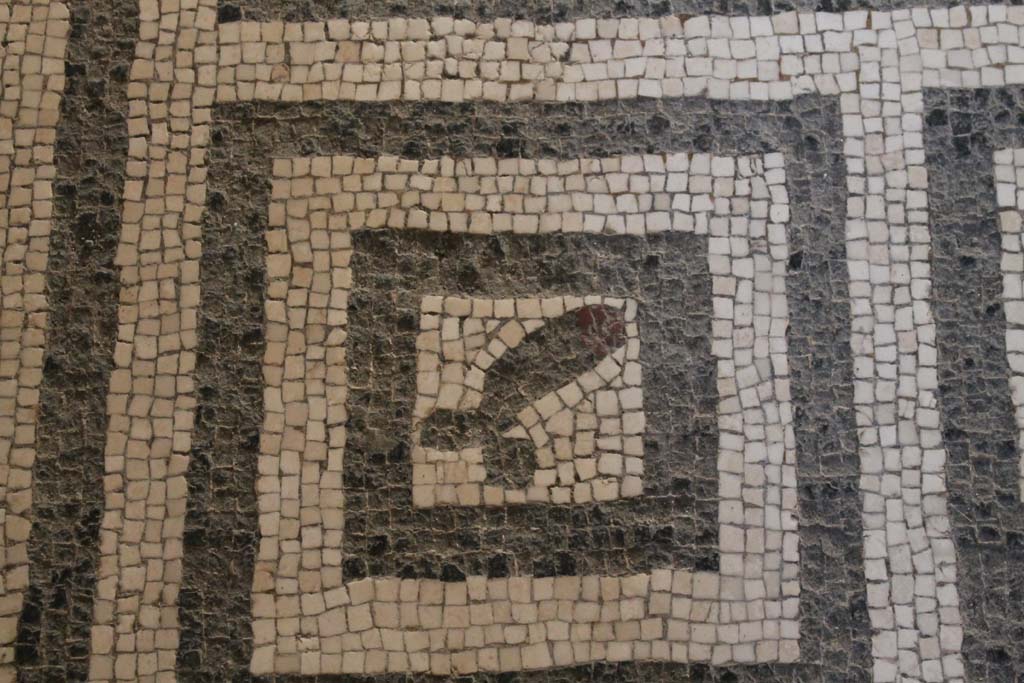 VI.8, Herculaneum. March 2014. Detail from mosaic floor in tepidarium.
Foto Annette Haug, ERC Grant 681269 DÉCOR
