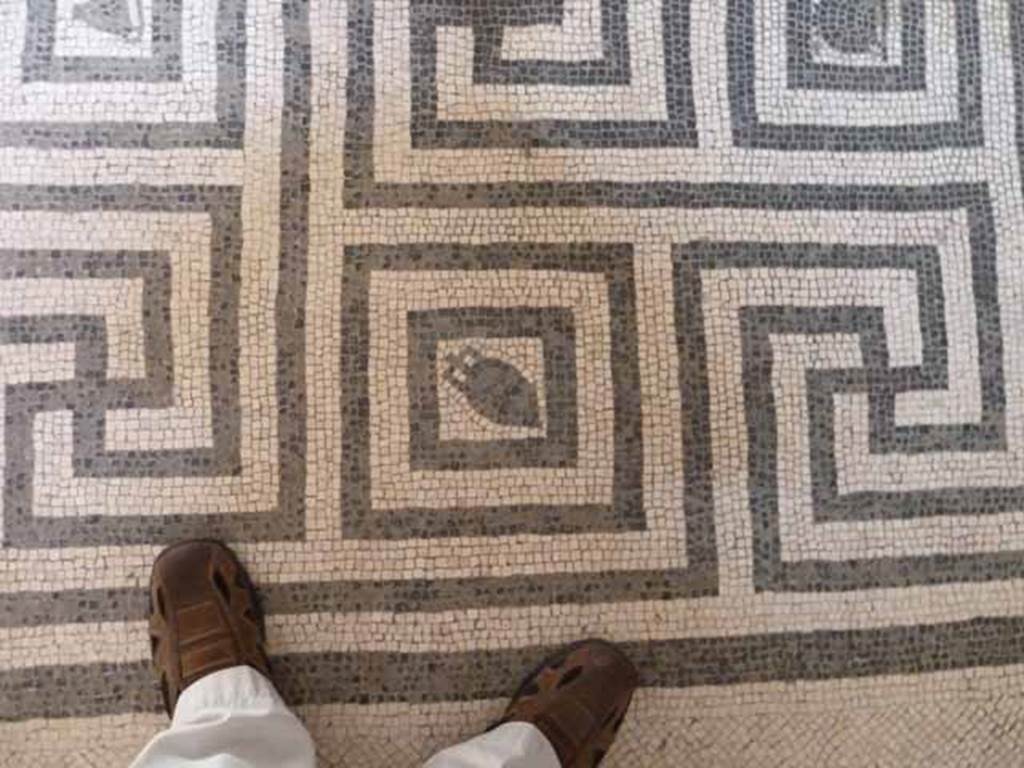 VI.8, Herculaneum. May 2010. Detail of meandering mosaic floor in tepidarium.
