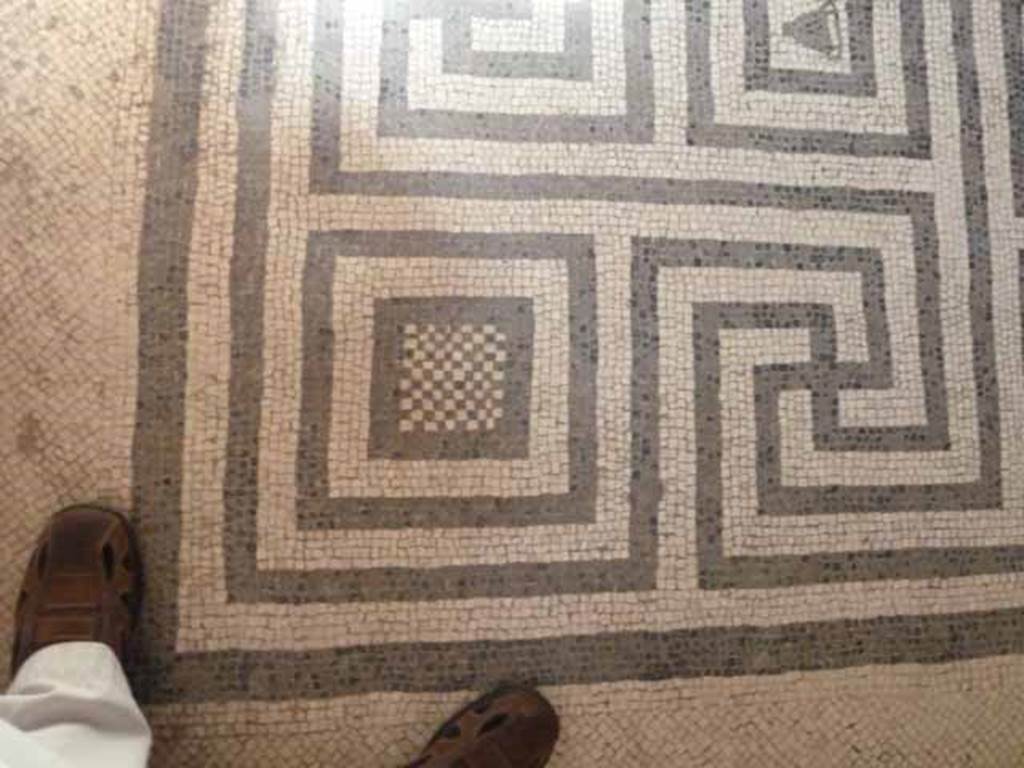 VI.8, Herculaneum. May 2010. Detail of meandering mosaic floor in tepidarium.