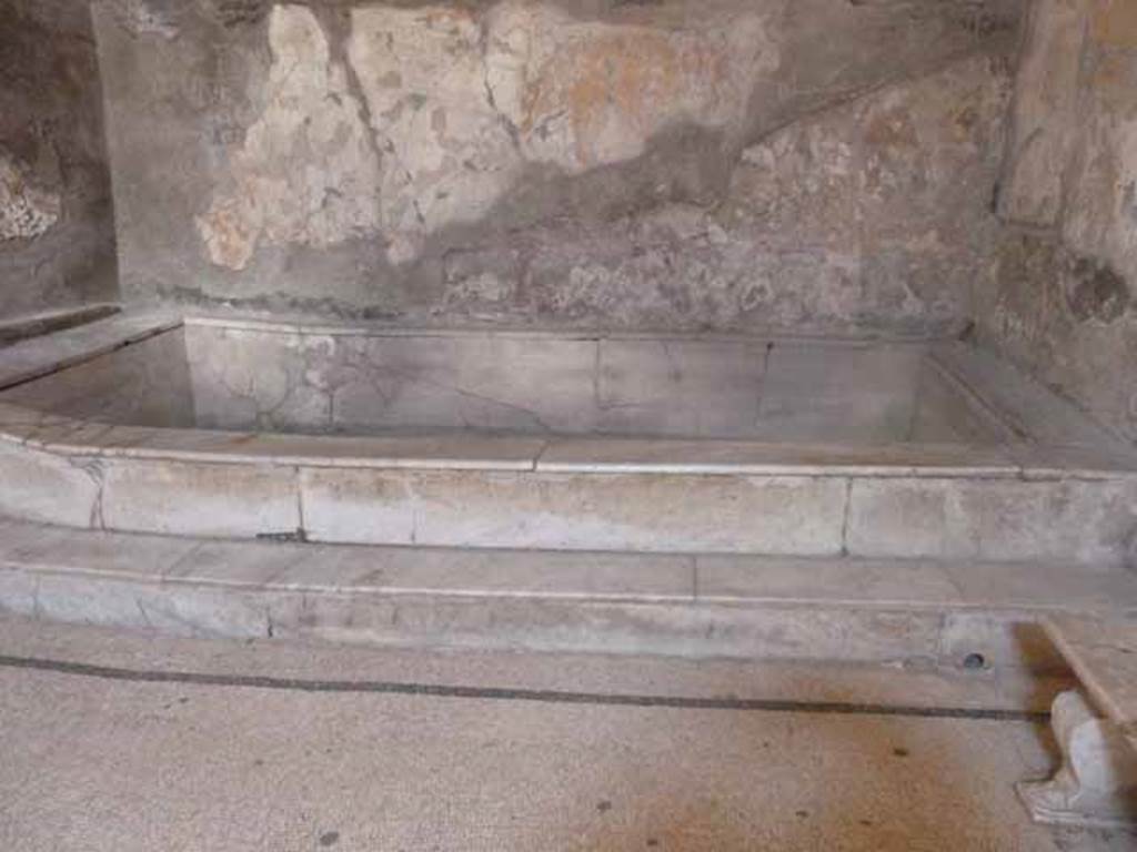 VI.8, Herculaneum. May 2010. Pool with steps at north end of hot room or caldarium.