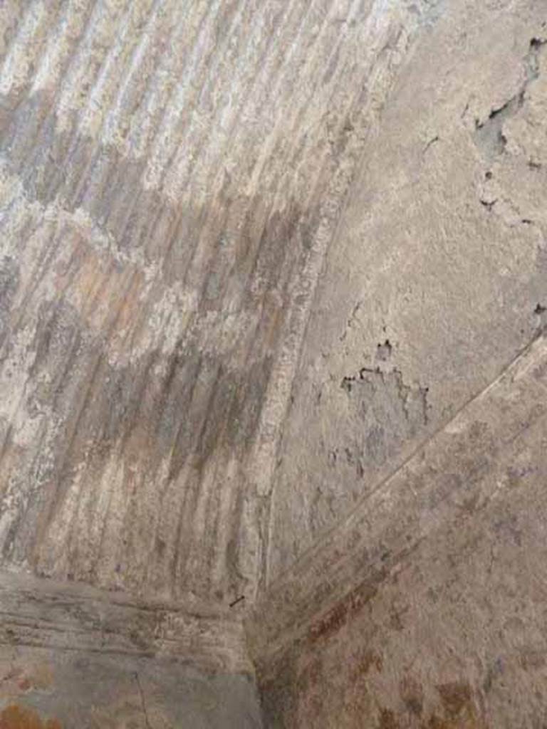 VI.8, Herculaneum. May 2010. Detail of stuccoed ceiling.