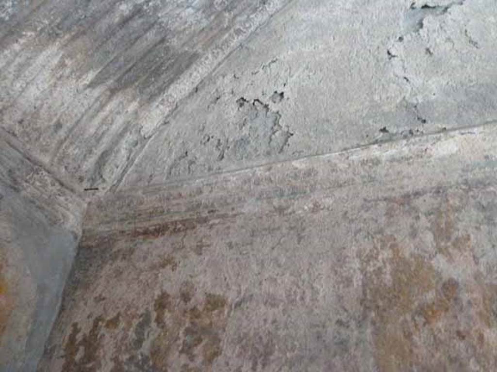 VI.8, Herculaneum. May 2010. Detail of wall and ceiling.
