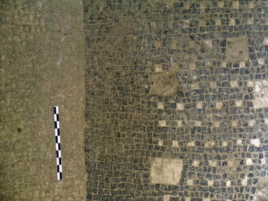 VI.9, Herculaneum. May 2004.  Detail of flooring.  Photo courtesy of Nicolas Monteix.


