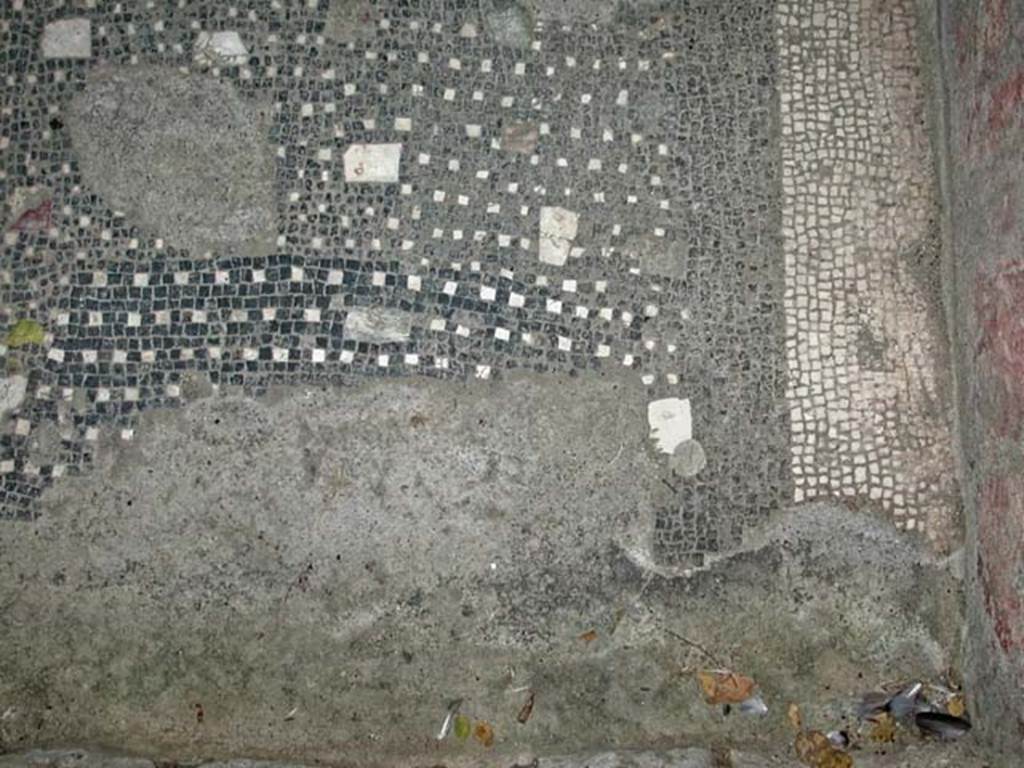 VI.9 Herculaneum. September 2003. Detail of black and white mosaic floor. Photo courtesy of Nicolas Monteix