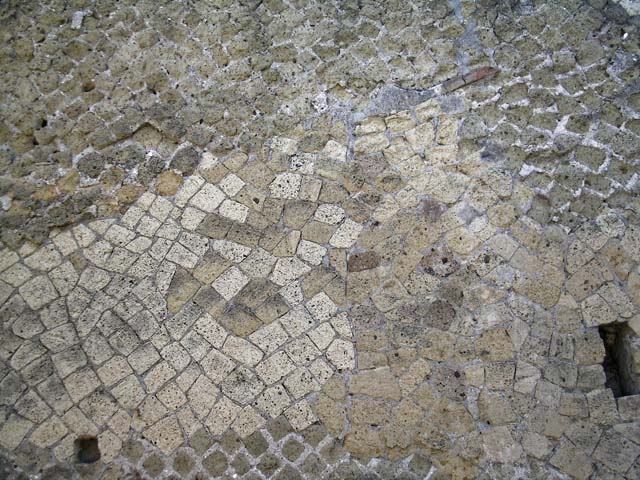 VI.10, Herculaneum. May 2004. Detail from upper north wall. Photo courtesy of Nicolas Monteix.