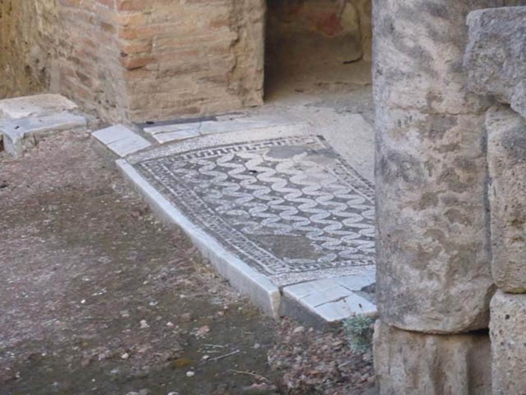 Ins. VI 17, Herculaneum, September 2015. Mosaic threshold of oecus on west side of atrium.