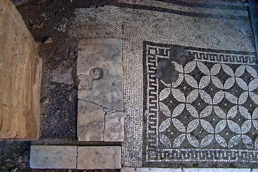VI.17, Herculaneum. February 2003. Flooring. Photo courtesy of Nicolas Monteix.