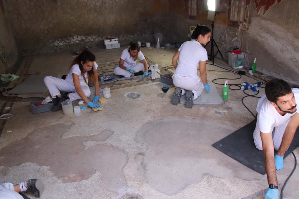VI.17 Herculaneum. September 2019. Triclinium 13, restoration and cleaning of floor mosaic. Photo courtesy of Klaus Heese.

