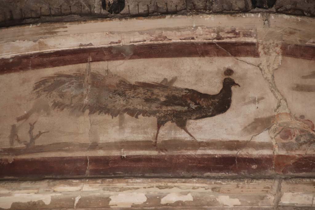 VI.17 Herculaneum. September 2019. Detail from upper centre of north wall of triclinium. Photo courtesy of Klaus Heese.

