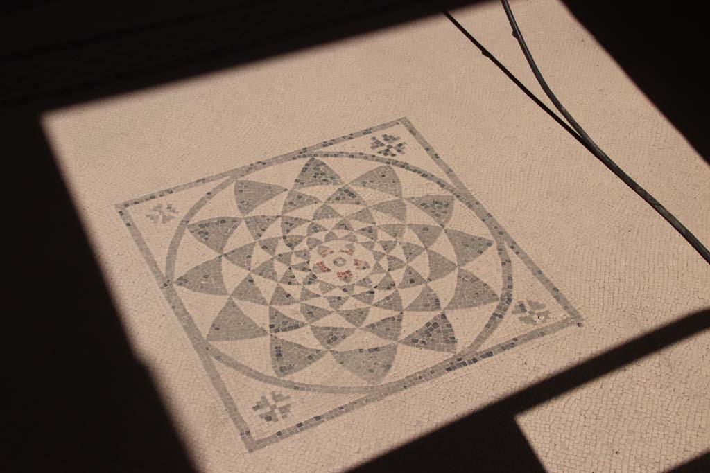 VI.17 Herculaneum. September 2019. Central emblema in mosaic flooring. Photo courtesy of Klaus Heese.
