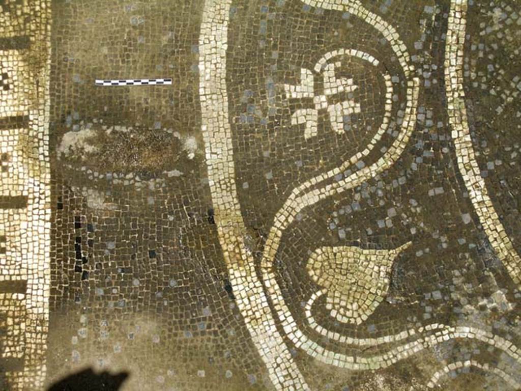 VI.17, Herculaneum. May 2004. Black and white decorated mosaic flooring. Photo courtesy of Nicolas Monteix.


