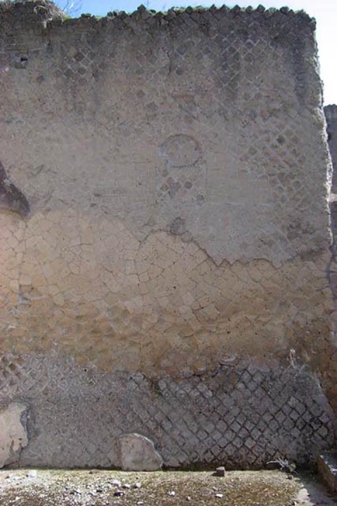 VI.29, Herculaneum. Not dated. East wall of triclinium 11. Photo courtesy of Nicolas Monteix.