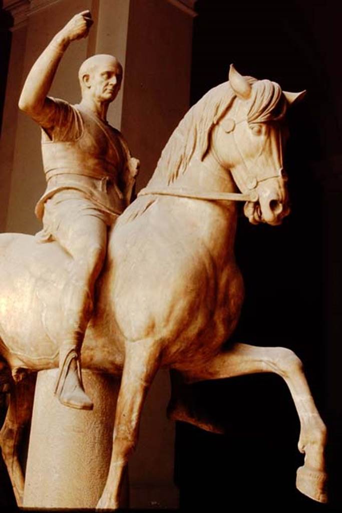 VII, Herculaneum, 1976. Perhaps M. Nonius Balbus. 
Now in Naples Archaeological Museum. Inventory number 6246.
This statue is associated with athe inscription cil x 1439.
M(arco) Nonio M(arci) f(ilio) Balbo
Patri
d(ecreto) d(ecurionum)   [CIL X 1439]
